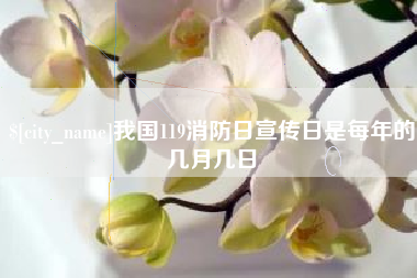 华容我国119消防日宣传日是每年的几月几日