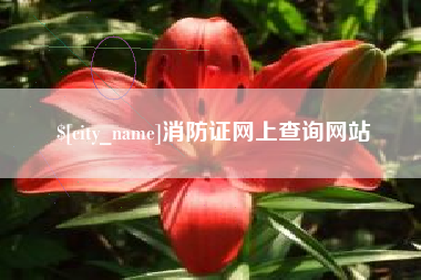 华容消防证网上查询网站