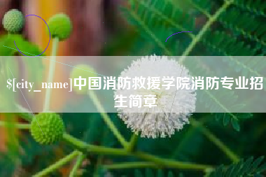 华容中国消防救援学院消防专业招生简章