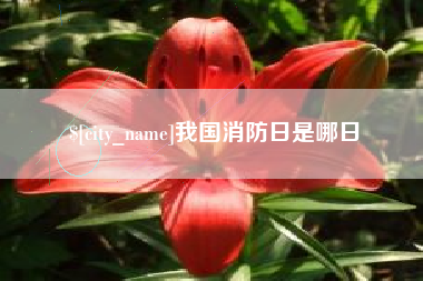 华容我国消防日是哪日