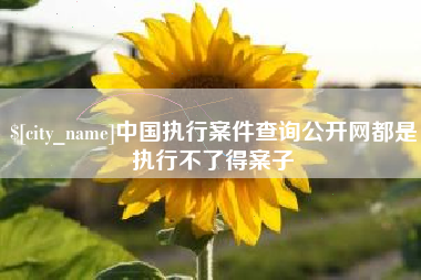 华容中国执行案件查询公开网都是执行不了得案子