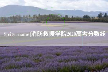 华容消防救援学院2020高考分数线