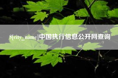 华容中国执行信息公开网查询