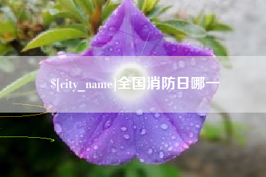华容全国消防日哪一