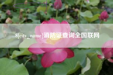 华容消防证查询全国联网