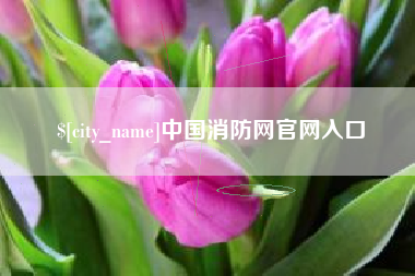 华容中国消防网官网入口