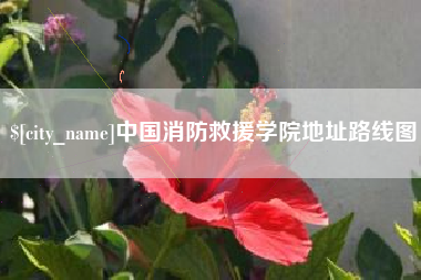 华容中国消防救援学院地址路线图