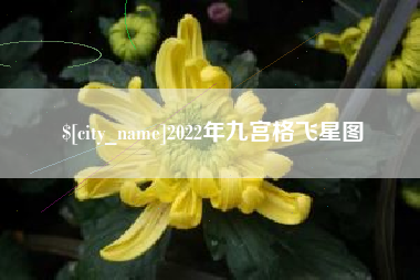 华容2022年九宫格飞星图