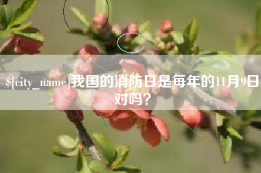 华容我国的消防日是每年的11月9日对吗？