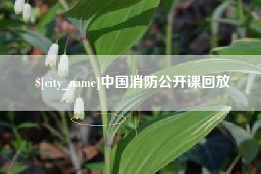 华容中国消防公开课回放