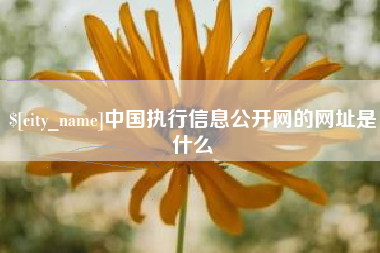 华容中国执行信息公开网的网址是什么