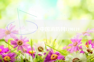 华容中国消防网1190119