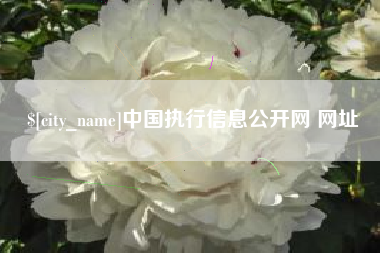 华容中国执行信息公开网 网址