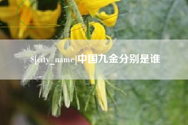 华容中国九金分别是谁