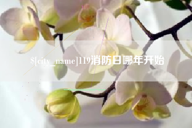 华容119消防日哪年开始