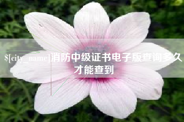 华容消防中级证书电子版查询多久才能查到