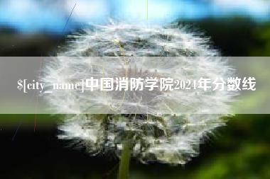 华容中国消防学院2024年分数线