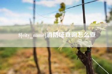 华容消防证查询怎么查