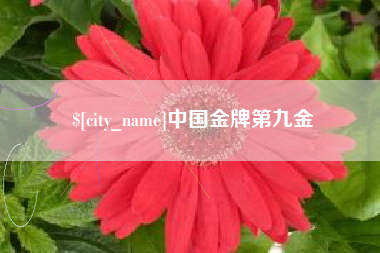 华容中国金牌第九金