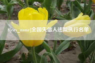 华容全国失信人法院执行名单