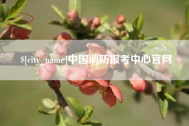 华容中国消防报考中心官网