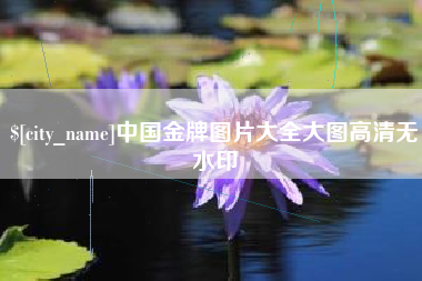 华容中国金牌图片大全大图高清无水印