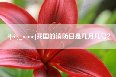 华容我国的消防日是几月几号？