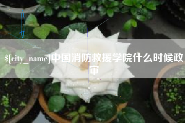 华容中国消防救援学院什么时候政审
