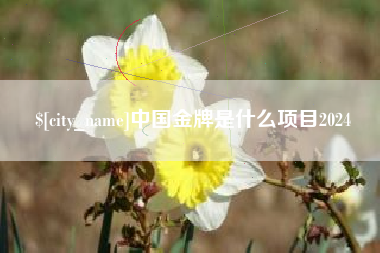 华容中国金牌是什么项目2024