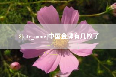 华容中国金牌有几枚了