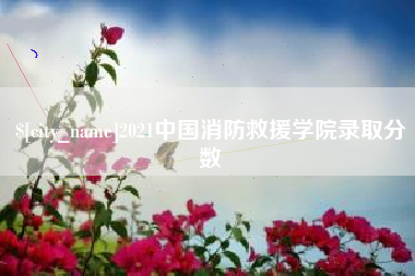 华容2021中国消防救援学院录取分数