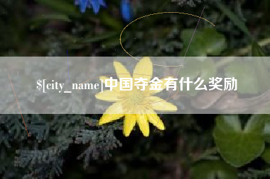 华容中国夺金有什么奖励