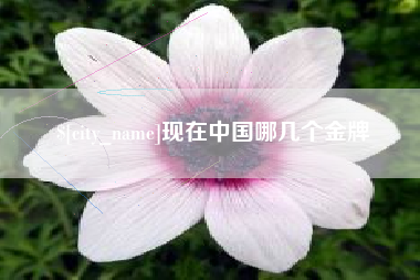 华容现在中国哪几个金牌