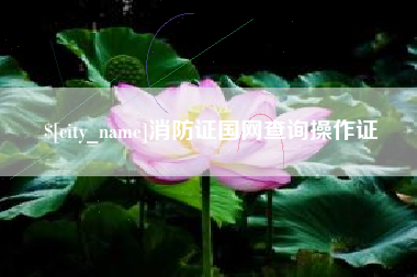 华容消防证国网查询操作证