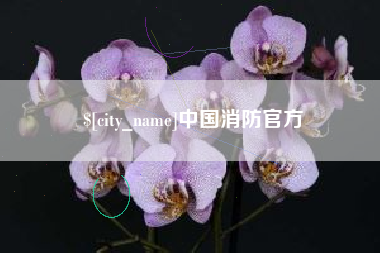 华容中国消防官方