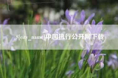 华容中国执行公开网下载