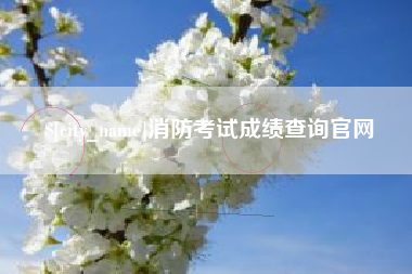 华容消防考试成绩查询官网