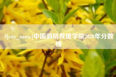 华容中国消防救援学院2020年分数线