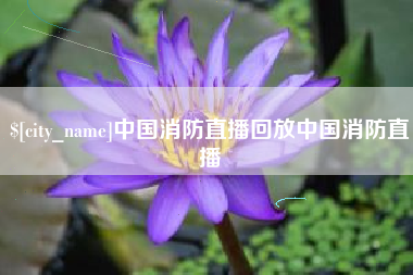 华容中国消防直播回放中国消防直播