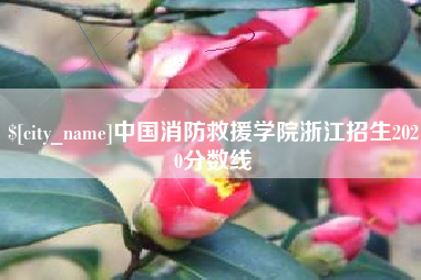 华容中国消防救援学院浙江招生2020分数线