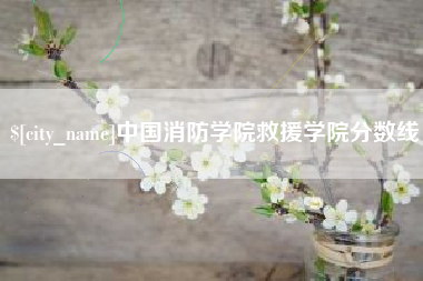 华容中国消防学院救援学院分数线
