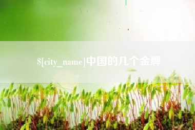 华容中国的几个金牌