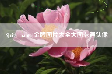 华容金牌图片大全大图卡通头像