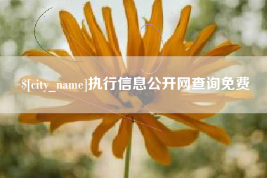 华容执行信息公开网查询免费